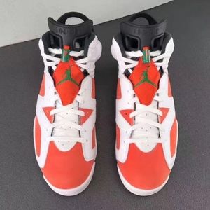 Air Jordan Gatorade 6s